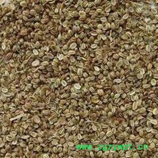 新辉药业蛇床子 野茴香 野胡萝卜子 蛇米 蛇栗图2