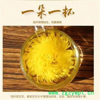 金丝黄菊礼盒  20朵装菊花 金丝黄菊礼盒佳品散装图4