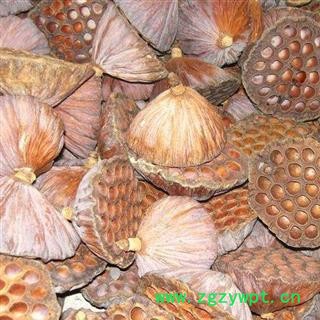 莲房 统货 产地 湖南省产地直销  大货工业图4