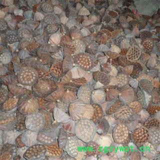 莲房 统货 产地 湖南省产地直销  大货工业图3