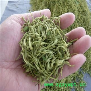 金银花 金银花青花选货 产地 山东省济南市市辖区图4