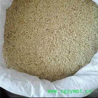 新辉药业东北优质黄瓜子 蛤力苏  正品新货图2