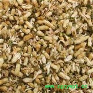 回青橙，枳壳花、酸橙花图2