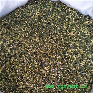 莲子心 莲子心大选货 产地 湖南省 国药堂 专注品质图3