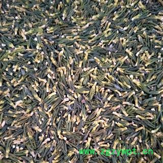 莲子心 莲子心大选货 产地 湖南省 国药堂 专注品质图2