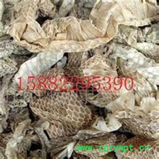 清水  蛇蜕   四川优质一级统货  库存1000可售图2