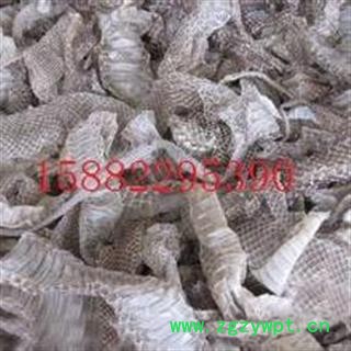 清水  蛇蜕   四川优质一级统货  库存1000可售图3