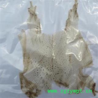 京辉药业中药材蟾衣 干蟾衣 完整蟾衣图3