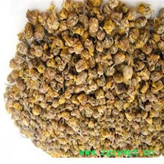 煜庭药业 野菊花图2