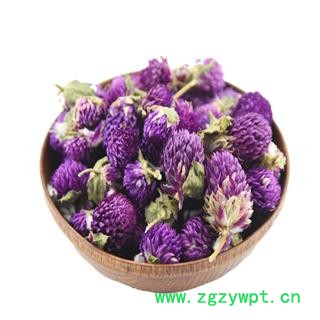 煜庭药业 千日红 红巧梅 正品图4