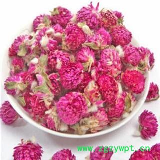 煜庭药业 千日红 红巧梅 正品图2