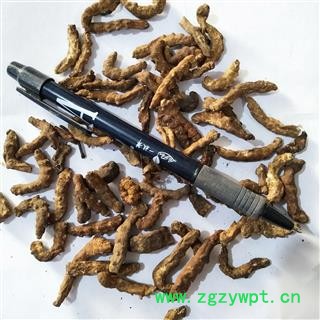 僵蚕 正品麸炒僵蚕，保证质量 产地 广西壮族自治区图2