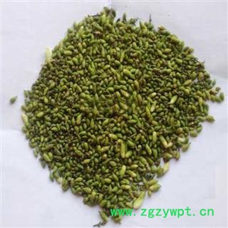 煜庭药业 槐米 正品 返现进行中图3