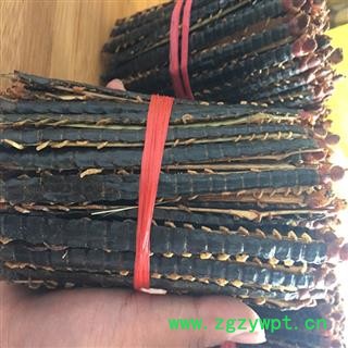 煜庭药业 蜈蚣 天龙、百脚、吴公图3