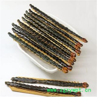 煜庭药业 蜈蚣 天龙、百脚、吴公图2