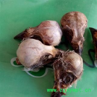 煜庭药业 雀脑 正品 褪毛雀脑 麻雀脑 雀脑袋 麻雀头图4