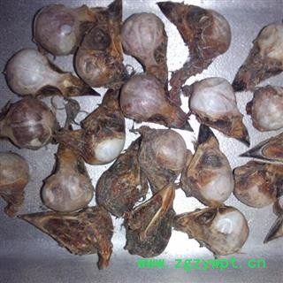 煜庭药业 雀脑 正品 褪毛雀脑 麻雀脑 雀脑袋 麻雀头图3