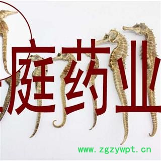 煜庭药业 海马 小海马图4