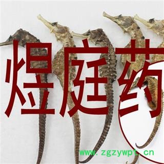 （包邮）特级云南野生金银花