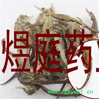 煜庭药业 海马 小海马图3