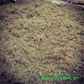 （包邮）特级云南野生金银花图3