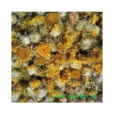 旋覆花 统 产地 山东省