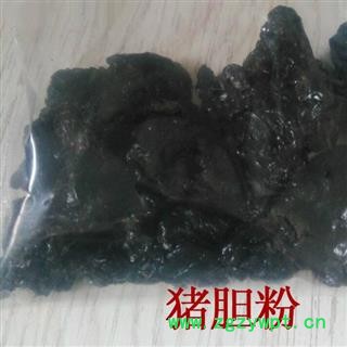 煜庭药业 猪胆粉 猪胆膏  非成品药 猪苦胆粉 粗粉 非提取物制品 纯货图3