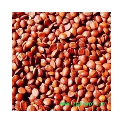 理枣仁 滇枣仁 2020 统 产地 云南省玉溪市通海县