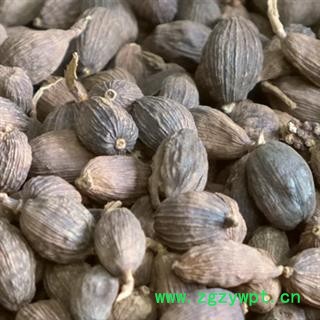 草果 统货 2020新货 产地 广西壮族自治区玉林市玉林药市图2