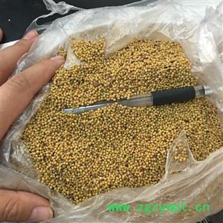 白芥子 净货 2020 产地 四川省德阳市中江县图2