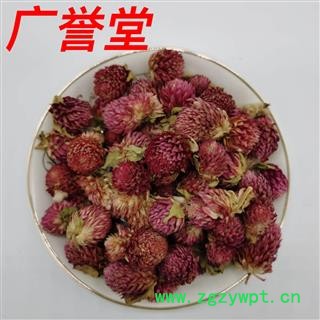 千日红 统 产地 西藏自治区图2