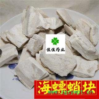 海螵蛸 统块 产地 山东省 海蛸 乌贼骨 鱼骨 供应各种中药材图3