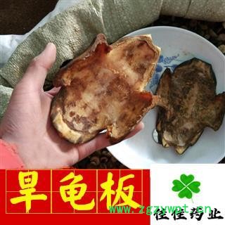 龟甲 龟板 汉龟板 旱龟板 正品 选 产地 湖北省图3