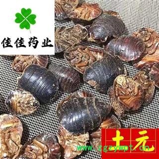 土元 选 大土元 土鳖虫 地鳖虫  供应各类中药材 冷背货 矿石等 产地 山东省图4
