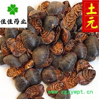 土元 选 大土元 土鳖虫 地鳖虫  供应各类中药材 冷背货 矿石等 产地 山东省图3
