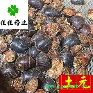 土元 选 大土元 土鳖虫 地鳖虫  供应各类中药材 冷背货 矿石等 产地 山东省图2