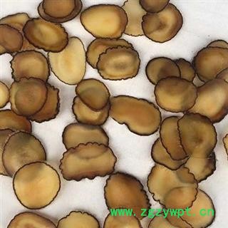 鹿茸 蜡片产地直供 产地 吉林省白山市抚松县图2