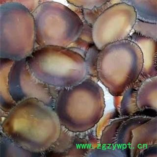 鹿茸 蜡片产地直供 产地 吉林省白山市抚松县图3