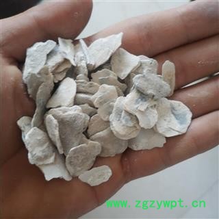 牡蛎&【国舜堂】实物拍照产地货源中药材批发供应【牡蛎】图2