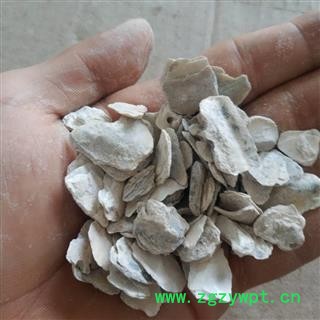 牡蛎&【国舜堂】实物拍照产地货源中药材批发供应【牡蛎】图4