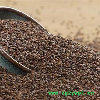 沙宛子 沙菀子 正品保证质量7天无理由退货退款 安品堂图3