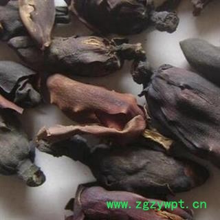 厚朴花 厚朴花花蕾 产地 湖北省图2