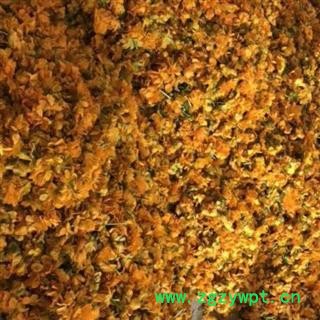 中药材金莲花 野生金莲花 金莲花正品 规格齐全 产地内蒙安国市场批发零售大全图2