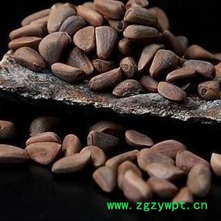 海松子 药用海松子 正品保证质量7天无理由退货退款 安品堂图3