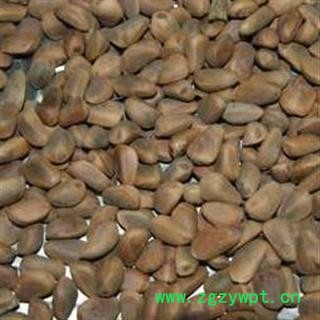 海松子 药用海松子 正品保证质量7天无理由退货退款 安品堂图2