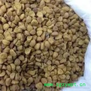 新辉药业中药材牵牛子 白丑黑丑图2