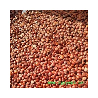 新辉药业枣仁 酸枣仁 国产新货