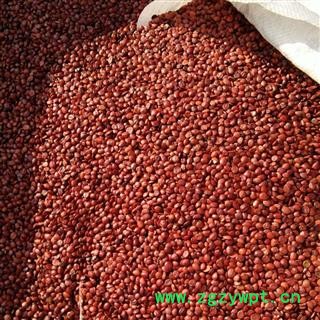 新辉药业枣仁 酸枣仁 国产新货图3