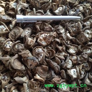 新辉药业预知子 八月扎 八月札图2