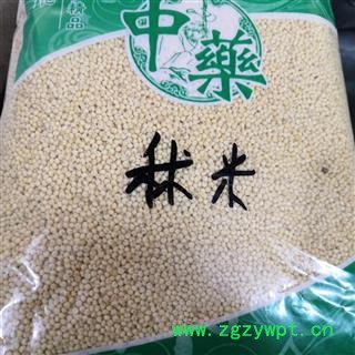 新辉药业秫米 黄米 糯秫 糯粟 黄糯图2